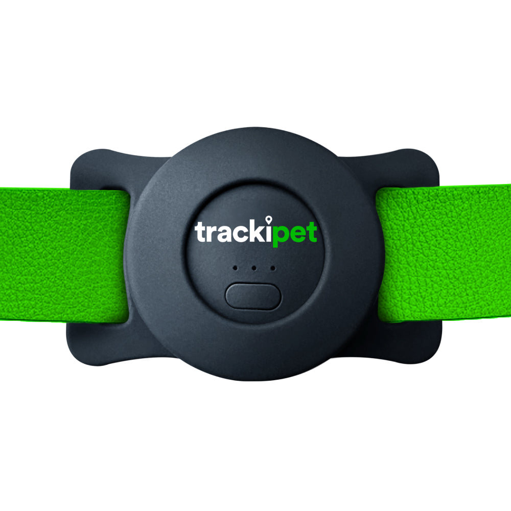 TrackiPet + 3 Months Free Plan