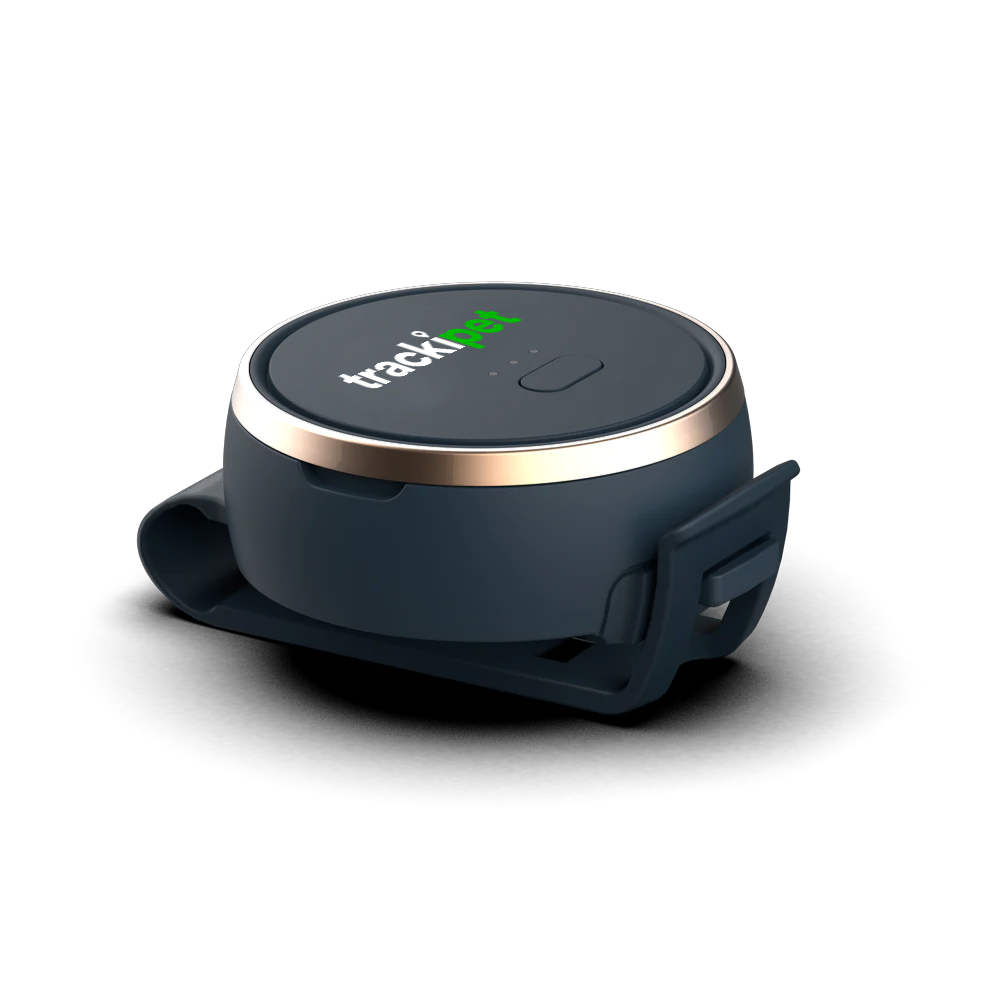 Tracki 2023 4G Model Mini Real time GPS Tracker by the price of $28.88 in  «Tracki» — to buy GPS tracker with delivery all over the world