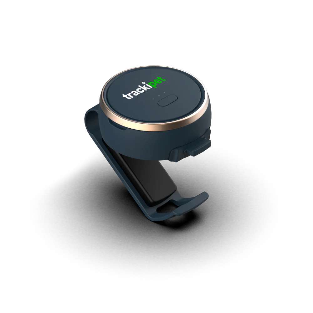 Ipet tracker best sale