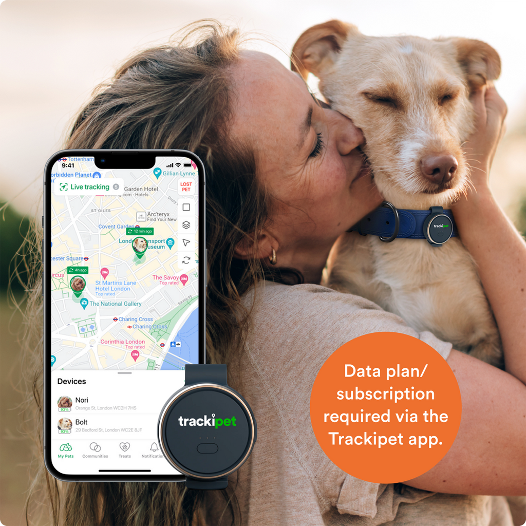 Pet tracker online