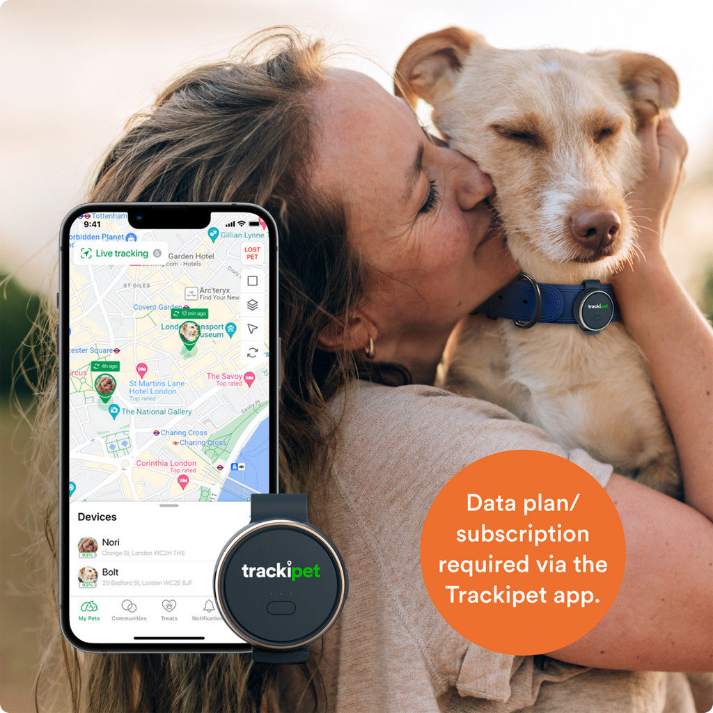 Guía y consejos para comprar un localizador GPS de mascotas